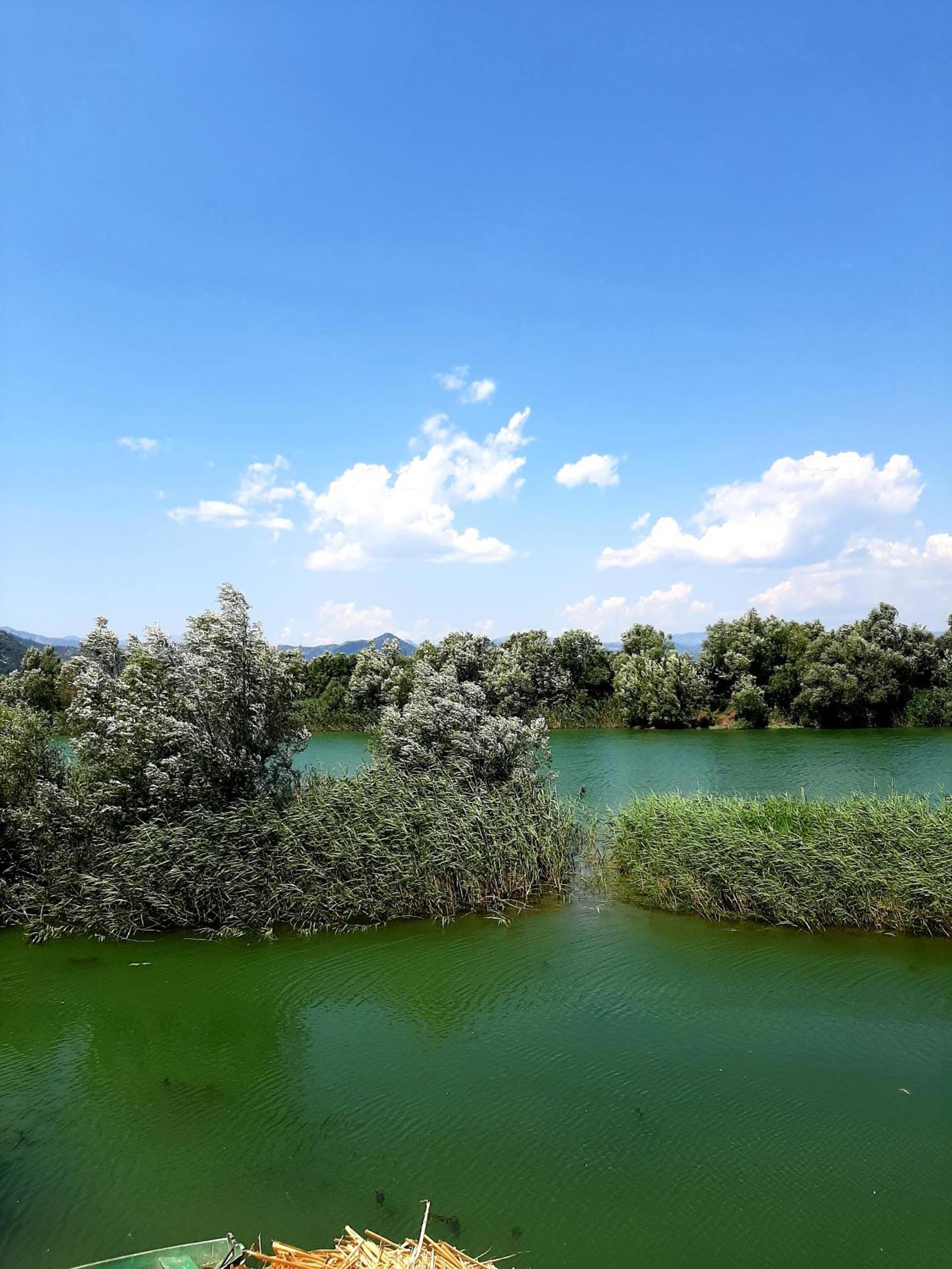 Skadar Lake House Virpazar Bagian luar foto