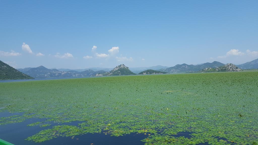 Skadar Lake House Virpazar Bagian luar foto